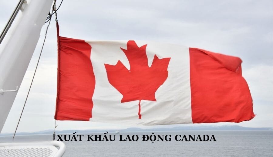 Khám Phá Thị Trường Xuất Khẩu Lao Động Hàng Đầu: Singapore, Hàn Quốc, Mỹ Và Canada