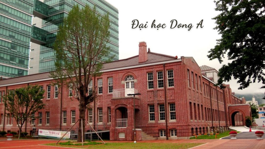 Du Học Tại Đại Học Dong-A Hàn Quốc