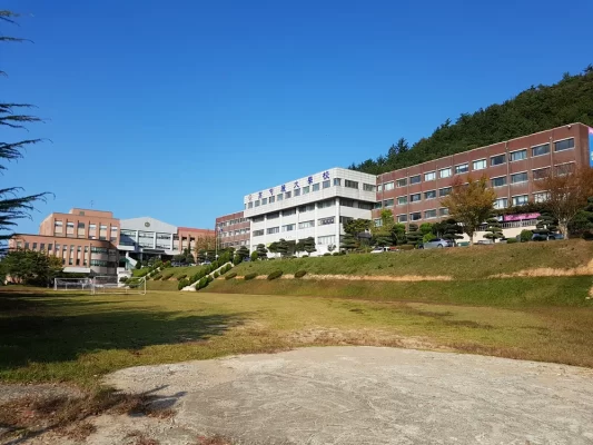 Du Học Tại Đại Học Naju – Khám Phá Thành Phố Nông Nghiệp Năng Động Của Hàn Quốc